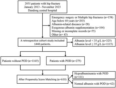 Association between preoperative albumin levels and postoperative delirium in geriatric hip fracture patients